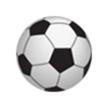 怀化队